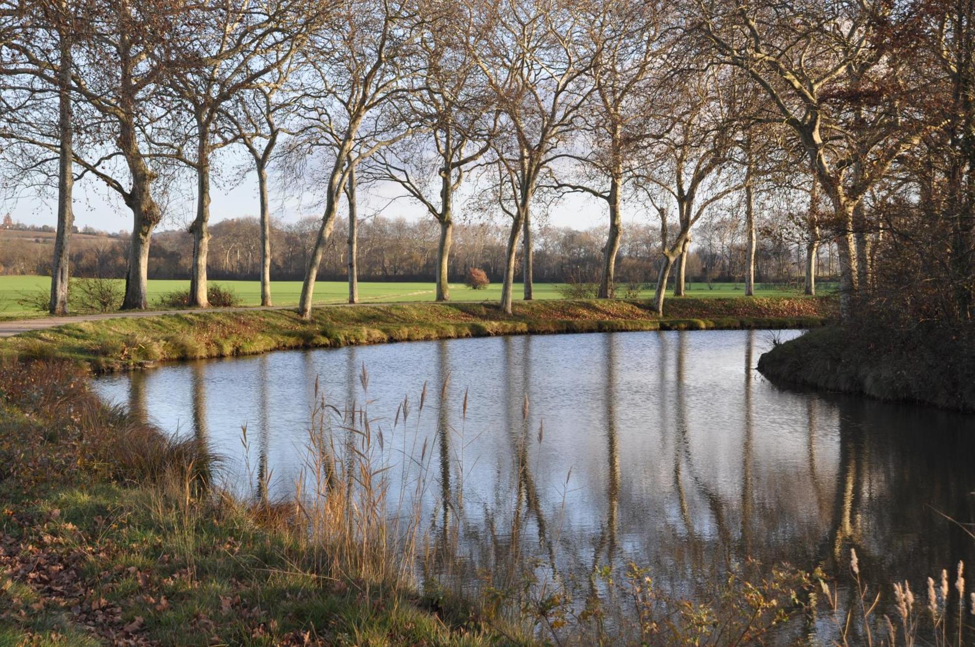 Domaine De Hurlevent Montgaillard-Lauragais 외부 사진